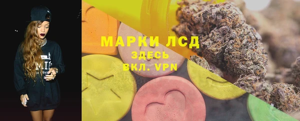 гашик Арсеньев