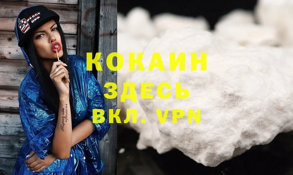 гашик Арсеньев