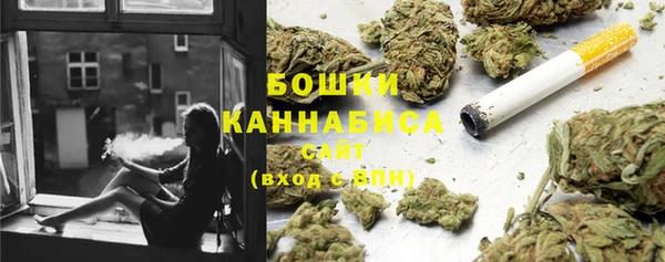 дживик Болотное