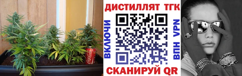 где можно купить   Коряжма  Дистиллят ТГК концентрат 