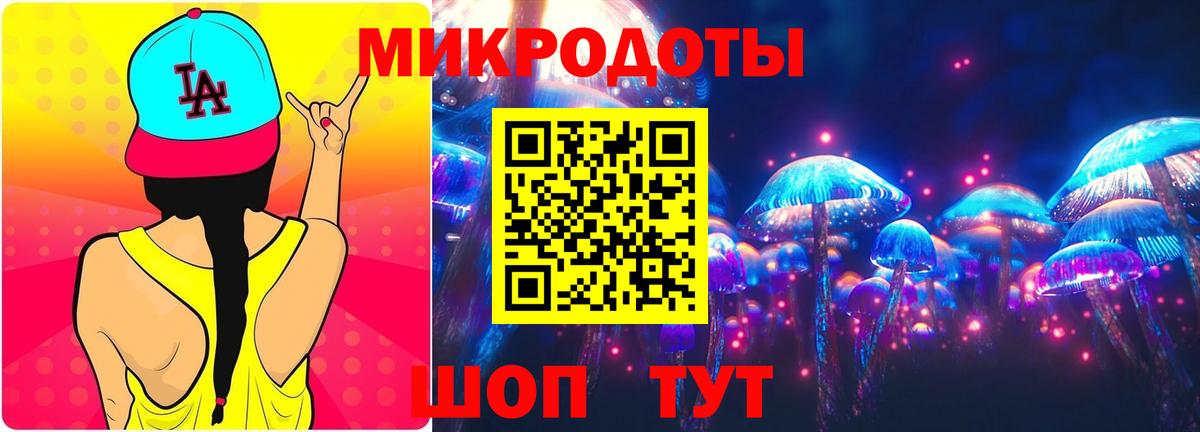 Псилоцибиновые грибы Psilocybe  Вход с VPN  Коряжма 