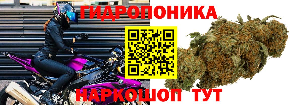 Коряжма  Марихуана сатива  Вход с VPN  Бошки марихуана Amnesia  Бошки марихуана SATIVA & INDICA 